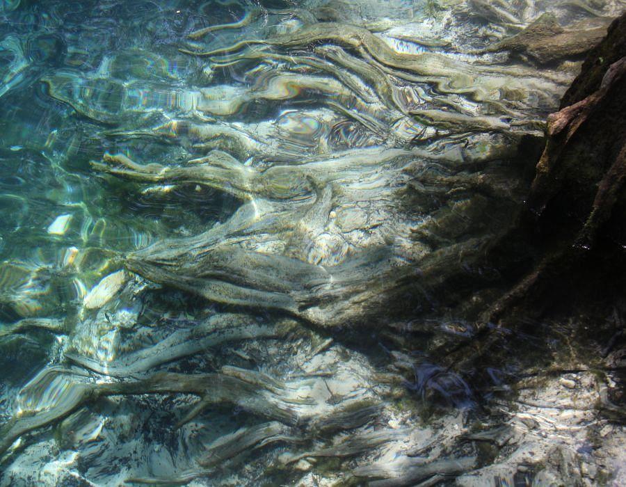 Image representation for Browse By Type